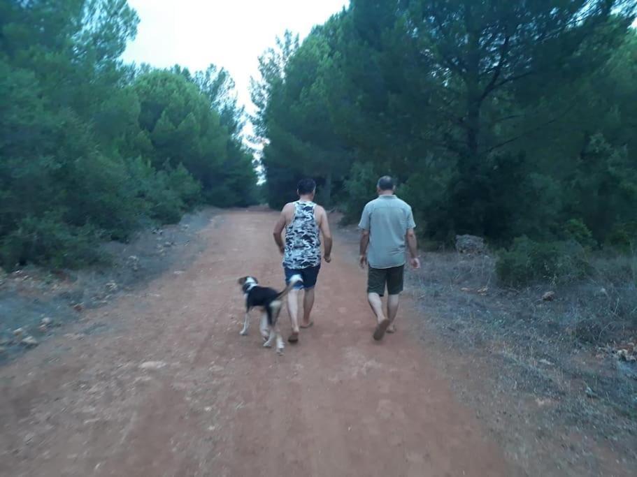 Vakantiehuis Gizli Bir Cennet *