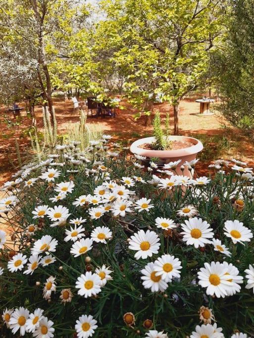 Vakantiehuis Gizli Bir Cennet Antalya