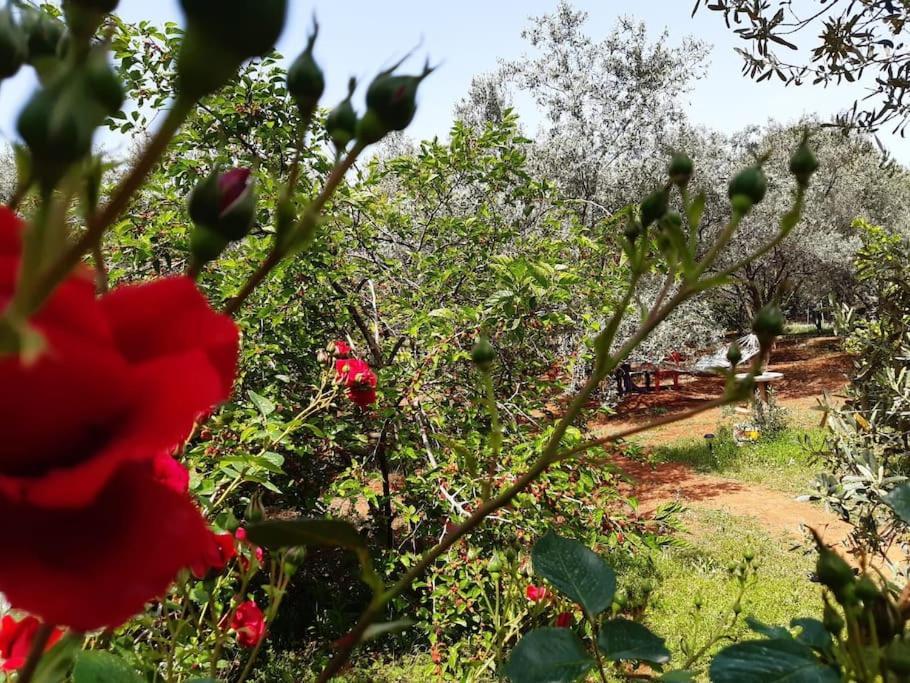 Vakantiehuis Gizli Bir Cennet